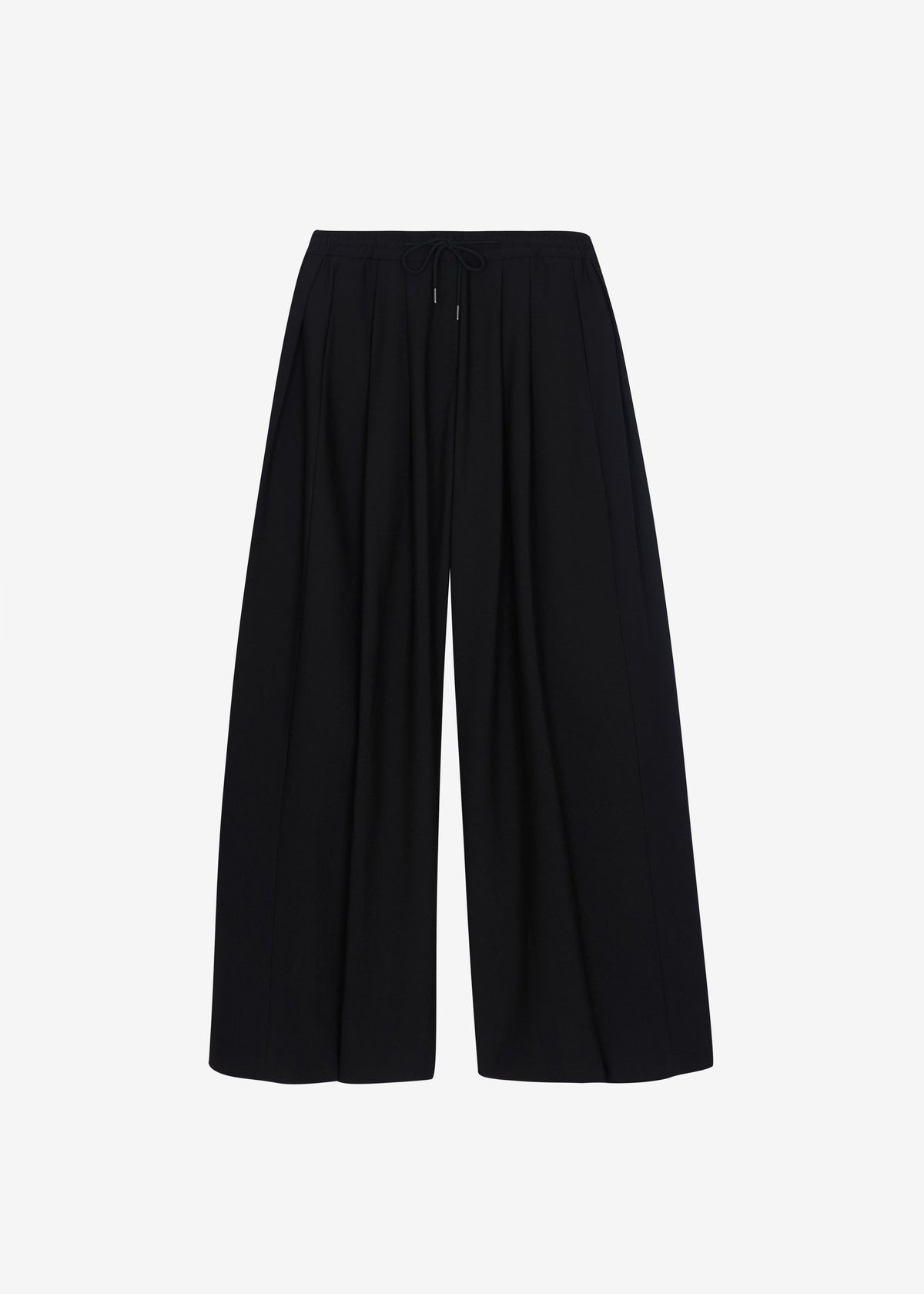 Corlen Pleated Wide Pants - Black β view 9 of 9