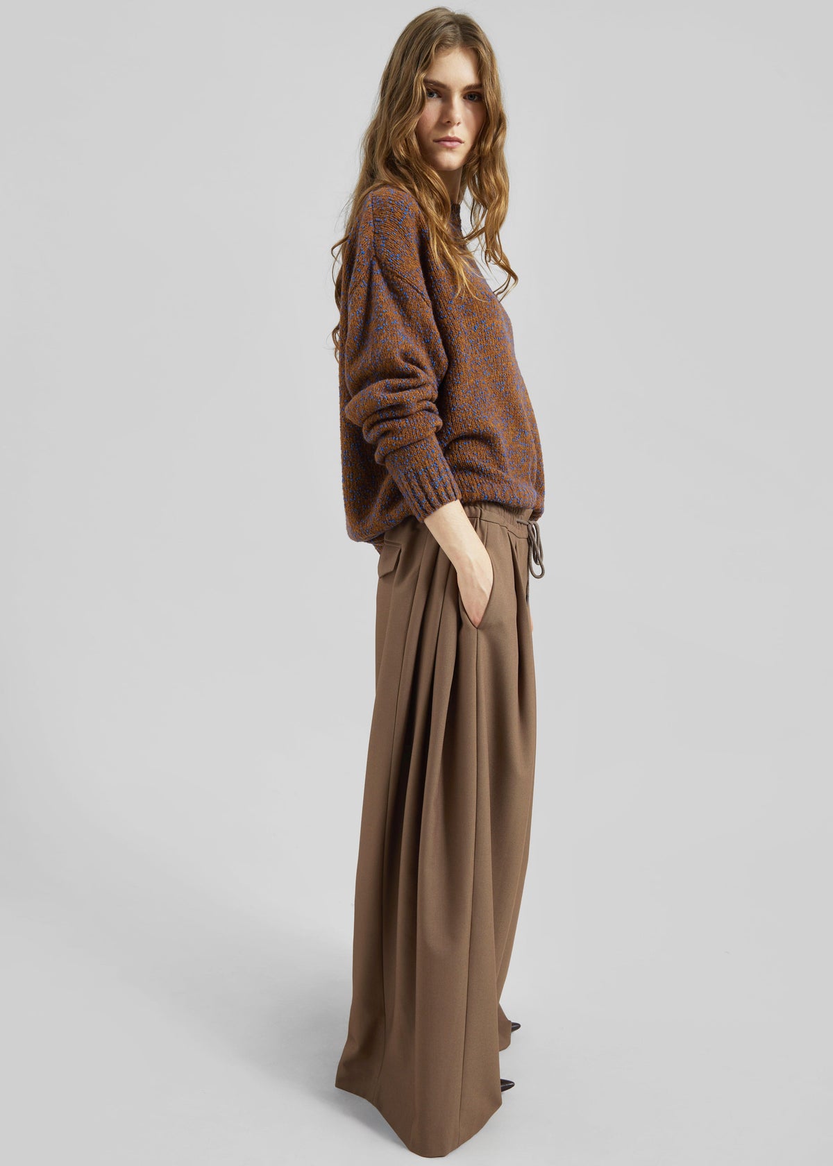 Corlen Pleated Wide Pants - Brown β view 1 of 1