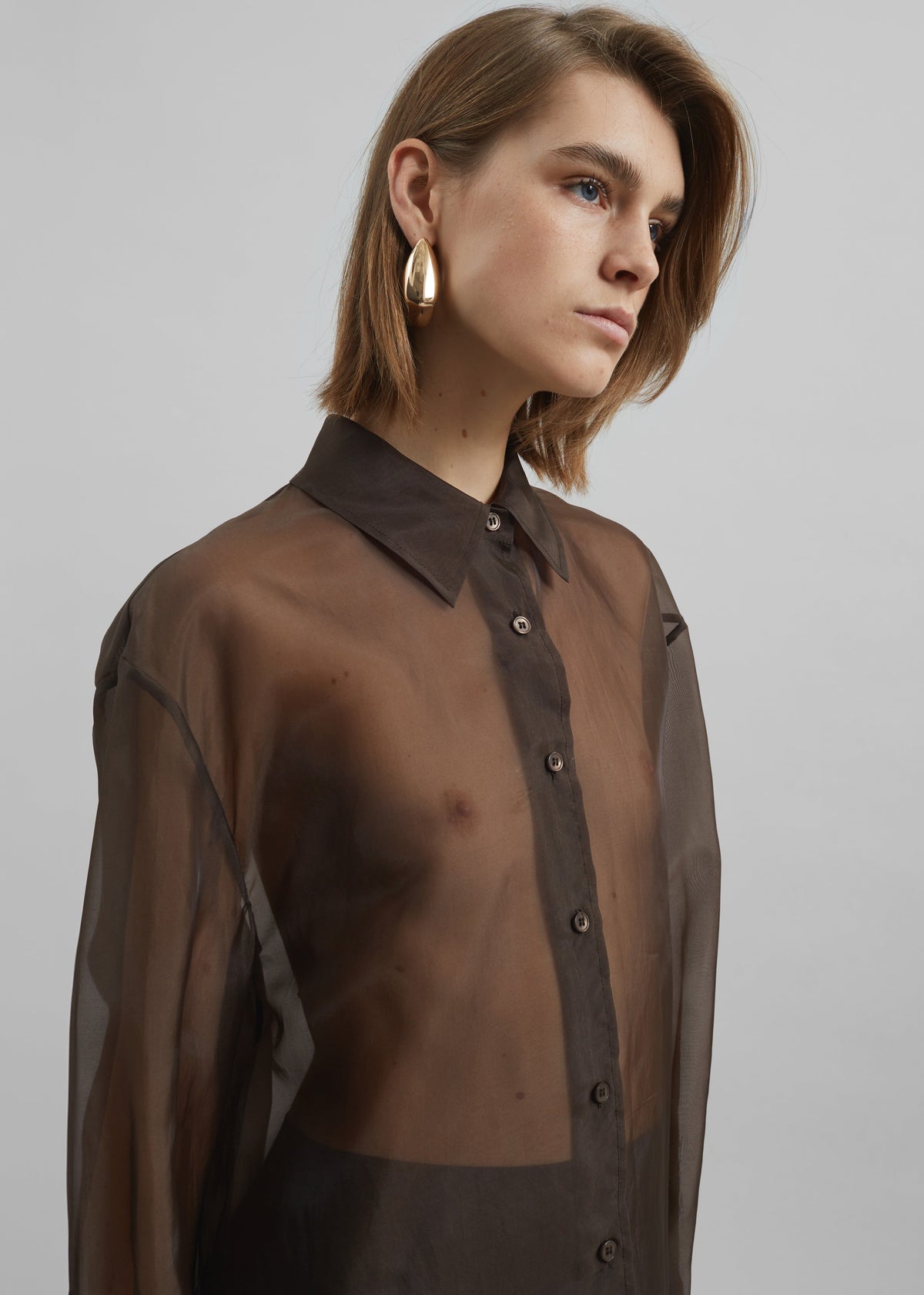 Peri Sheer Shirt - Brown β view 12 of 13