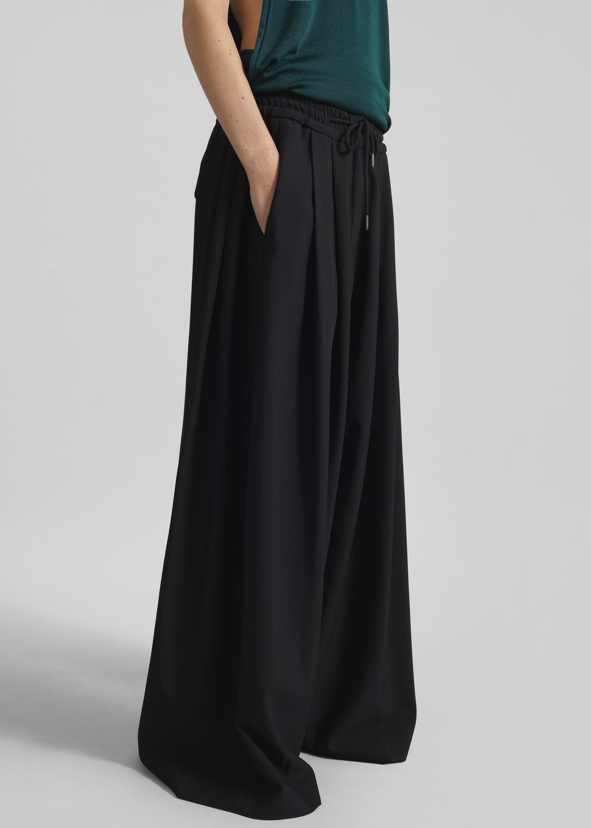Corlen Pleated Wide Pants - Black – view 5 of 9