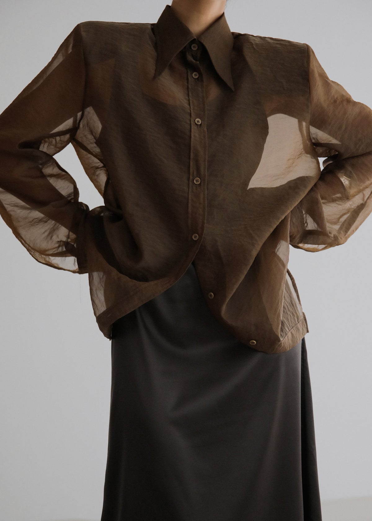 Jolene Semi Sheer Shirt - Brown – view 6 of 11
