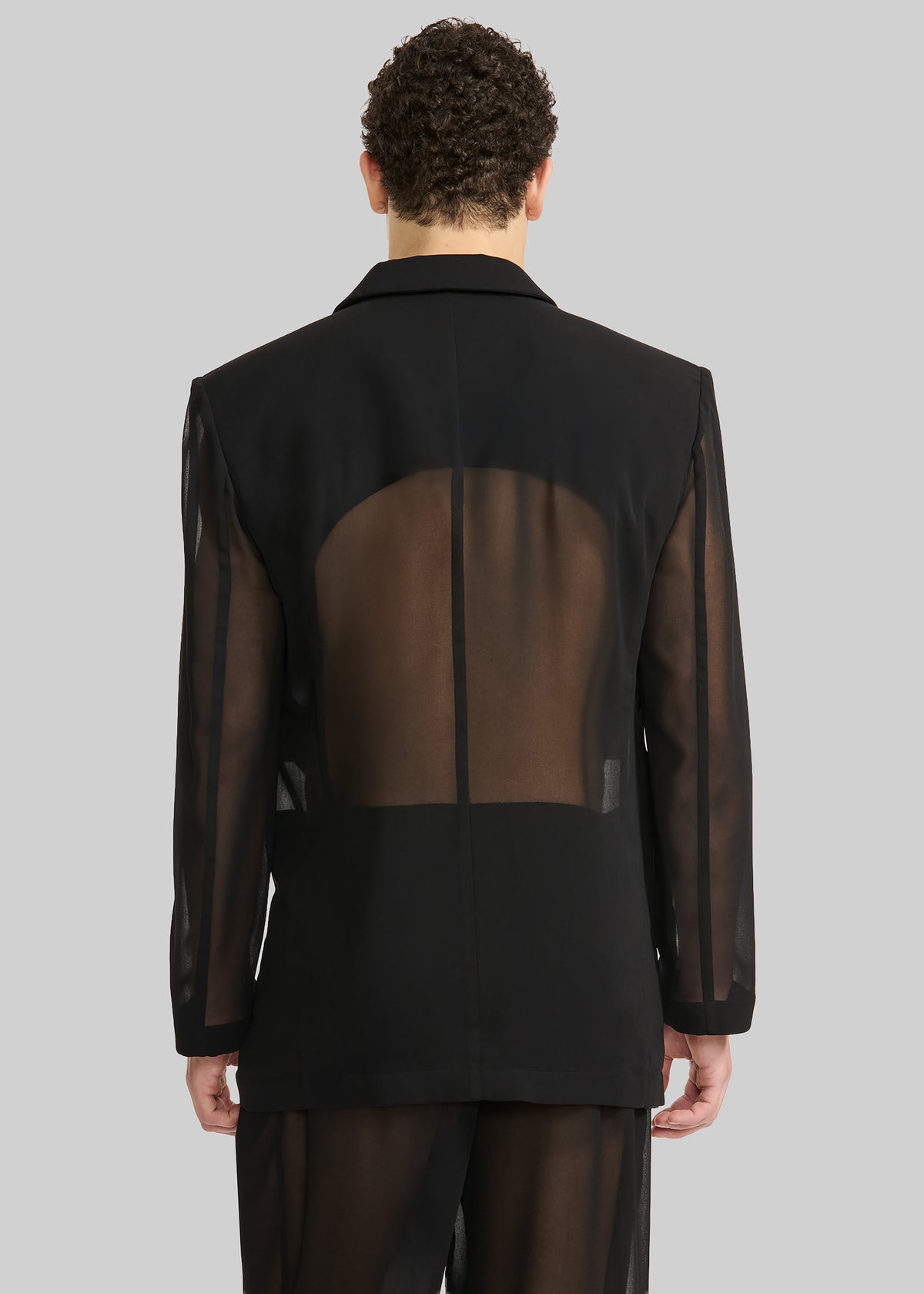 Louis Gabriel Nouchi 4-Button Double-Breasted Sheer Jacket - Black – view 7 of 8